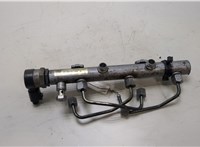 059130090AG Рампа (рейка) топливная Audi A6 (C6) 2004-2011 20452934 #4