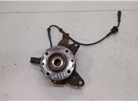  Ступица (кулак, цапфа) Renault Scenic 1996-2002 20453081 #1