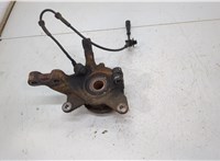  Ступица (кулак, цапфа) Renault Scenic 1996-2002 20453081 #2