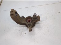  Ступица (кулак, цапфа) Renault Megane 2 2002-2009 20453084 #2