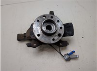 1603254, 13110964, 5308032, 13156037 Ступица (кулак, цапфа) Opel Astra H 2004-2010 20453132 #4