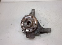  Ступица (кулак, цапфа) Opel Vectra C 2002-2008 20453144 #1