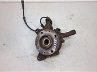  Ступица (кулак, цапфа) Renault Scenic 1996-2002 20453173 #1