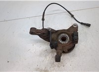  Ступица (кулак, цапфа) Renault Scenic 1996-2002 20453173 #2