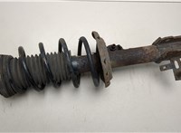  Амортизатор подвески Opel Astra H 2004-2010 20453255 #1