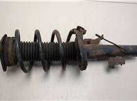  Амортизатор подвески Ford Focus 2 2008-2011 20453274 #1