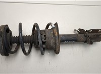  Амортизатор подвески Renault Scenic 1996-2002 20453279 #1