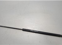  Амортизатор крышки багажника Ford Focus 2 2005-2008 20453502 #1