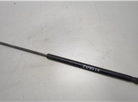  Амортизатор крышки багажника Ford Focus 2 2005-2008 20453503 #1