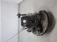33411095774, 1095774, 33326770923, 6770923, 34216764899 Ступица (кулак, цапфа) BMW 5 E60 2003-2010 20453517 #3