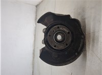 33411095774, 1095774, 33326770923, 6770923, 34216764899 Ступица (кулак, цапфа) BMW 5 E60 2003-2010 20453517 #5