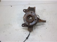 Ступица (кулак, цапфа) Renault Scenic 2003-2009 20453522 #1