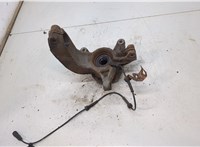  Ступица (кулак, цапфа) Renault Scenic 2003-2009 20453522 #2