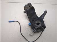 330785, 364790 Ступица (кулак, цапфа) Peugeot 207 2006-2015 20453552 #3