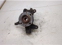  Ступица (кулак, цапфа) Renault Scenic 2003-2009 20453555 #1