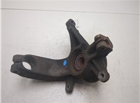  Ступица (кулак, цапфа) Renault Scenic 2003-2009 20453555 #3