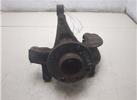  Ступица (кулак, цапфа) Renault Scenic 2003-2009 20453555 #6