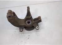  Ступица (кулак, цапфа) Renault Megane 2 2002-2009 20453570 #2