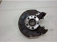  Ступица (кулак, цапфа) Skoda Fabia 2007-2014 20453765 #1