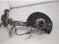  Ступица (кулак, цапфа) Audi A6 (C5) 1997-2005 20453784 #1
