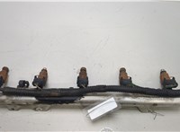 9186060, 9202100, 9186340 Форсунка топливная Volvo C70 1997-2005 20453813 #1