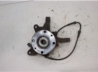  Ступица (кулак, цапфа) Renault Scenic 1996-2002 20453833 #1