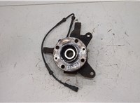  Ступица (кулак, цапфа) Renault Scenic 1996-2002 20453849 #1