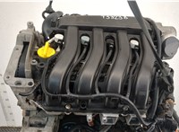  Компрессор кондиционера Renault Megane 2 2002-2009 11422447 #5