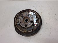  Ступица (кулак, цапфа) Toyota RAV 4 1994-2000 20453903 #1