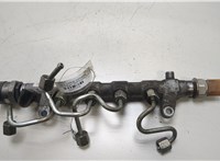  Рампа (рейка) топливная Volkswagen Golf 6 2009-2012 20453974 #1