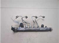  Рампа (рейка) топливная Volkswagen Tiguan 2007-2011 20454291 #8