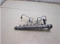  Рампа (рейка) топливная Volkswagen Tiguan 2007-2011 20454291 #9