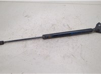  Амортизатор крышки багажника Dodge Journey 2011-2020 20454656 #1