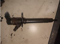 0445110078 Форсунка топливная Volvo V70 2001-2008 20454687 #1
