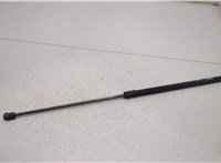 5344006050 Амортизатор капота Toyota Camry V40 2006-2011 20454827 #1