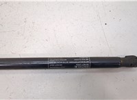 5344006050 Амортизатор капота Toyota Camry V40 2006-2011 20454827 #2