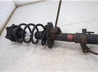 Амортизатор подвески Honda CR-V 2006-2012 20455202 #3