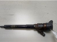  Форсунка топливная Hyundai Santa Fe 2005-2012 20455228 #1