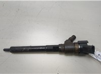  Форсунка топливная Hyundai Santa Fe 2005-2012 20455229 #1