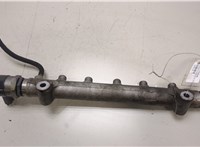  Рампа (рейка) топливная Hyundai Santa Fe 2005-2012 20455230 #1