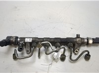  Рампа (рейка) топливная Volkswagen Passat 7 2010-2015 Европа 20455258 #5
