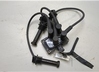  Катушка зажигания Ford Focus 2 2005-2008 20455476 #1