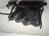  Коллектор впускной Ford Focus 2 2005-2008 20455478 #4