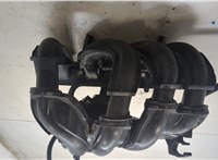  Коллектор впускной Ford Focus 2 2005-2008 20455478 #5