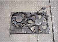  Вентилятор радиатора Skoda Octavia (A5) 2004-2013 20455612 #1