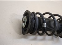  Амортизатор подвески Volkswagen Passat 8 2015- 20455616 #2