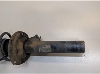 Амортизатор подвески Volkswagen Passat 8 2015- 20455616 #3