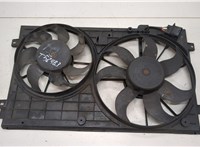  Вентилятор радиатора Skoda Octavia (A5) 2004-2013 20455933 #1