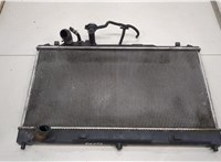  Радиатор охлаждения двигателя Mazda 6 (GG) 2002-2008 20456028 #1