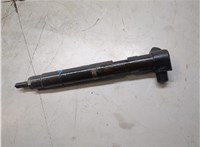 A6510700487 Форсунка топливная Mercedes E W212 2009-2016 20456031 #1